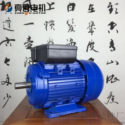 高效節(jié)能之選——真譽(yù)YL71 2極單相雙值電容非同步電動(dòng)機(jī)深度評(píng)測(cè)